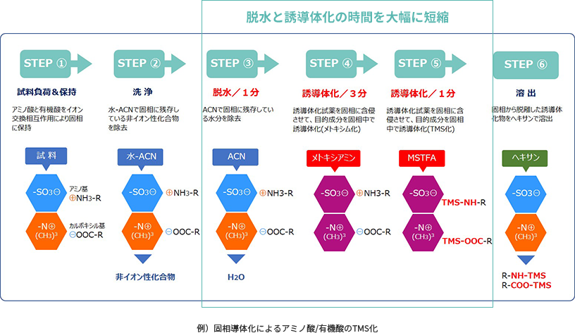 脱⽔と誘導体化の時間を⼤幅に短縮