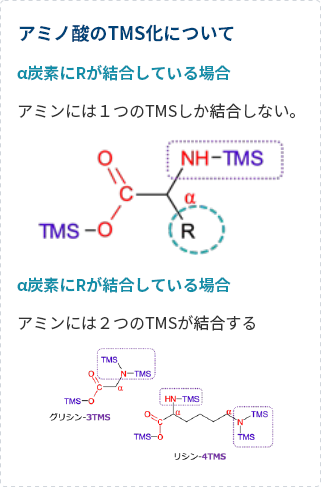 アミノ酸のTMS化について
                            