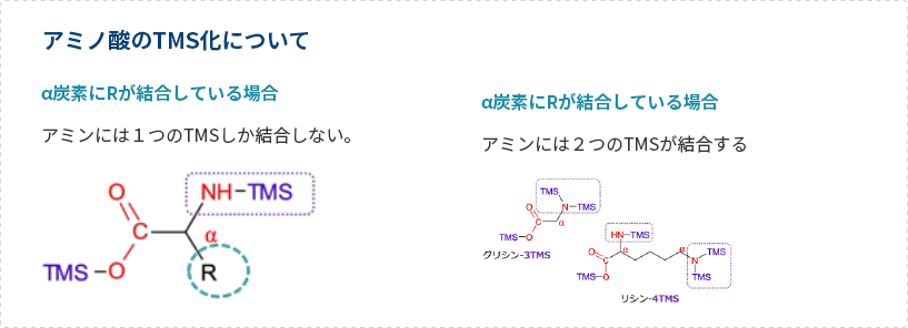 アミノ酸のTMS化について
                                