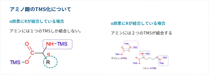 アミノ酸のTMS化について
                            