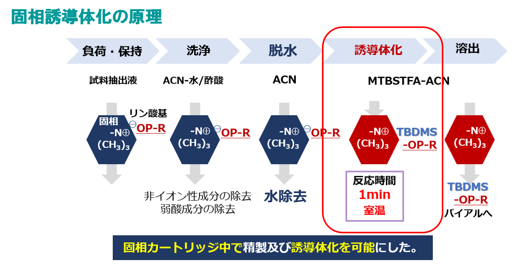 特長01